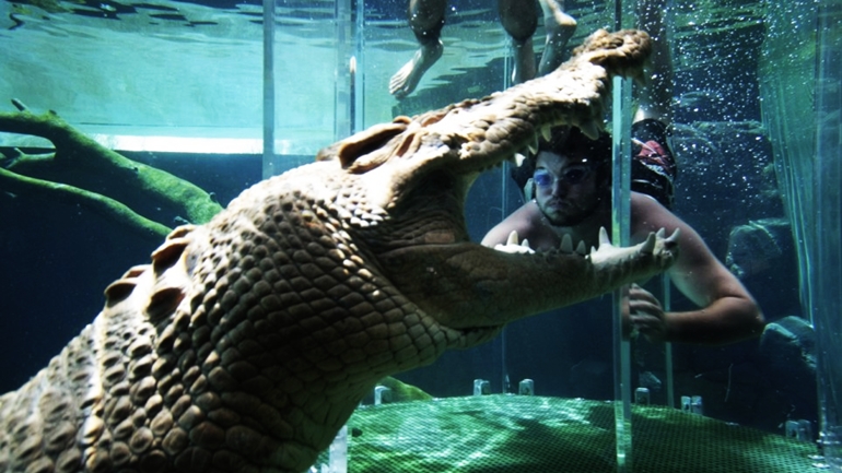 Crocosaurus Cove: The Cage of Death Darwin, Australia